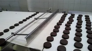 Автоматическая линия упаковки пирожных и батончиков