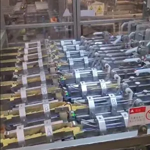 Автоматическая линия упаковки чипсов