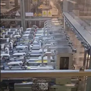 Автоматическая линия упаковки чипсов